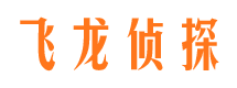 桥西侦探